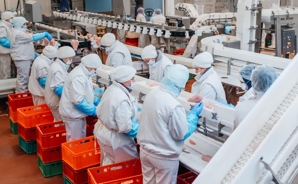 Production line in a food factory, Shutterstock ID#1940370781